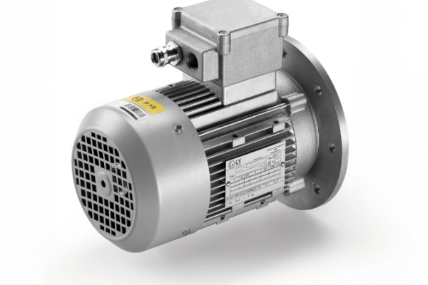Atex-Motoren für Zone 1 und 21