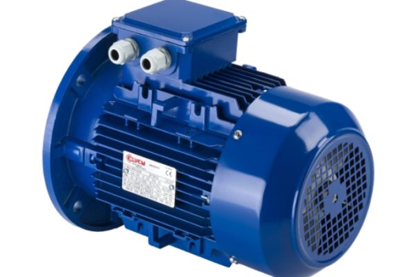 6T einpoliger asynchroner Drehstrommotor